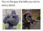 best-harambe-memes.png