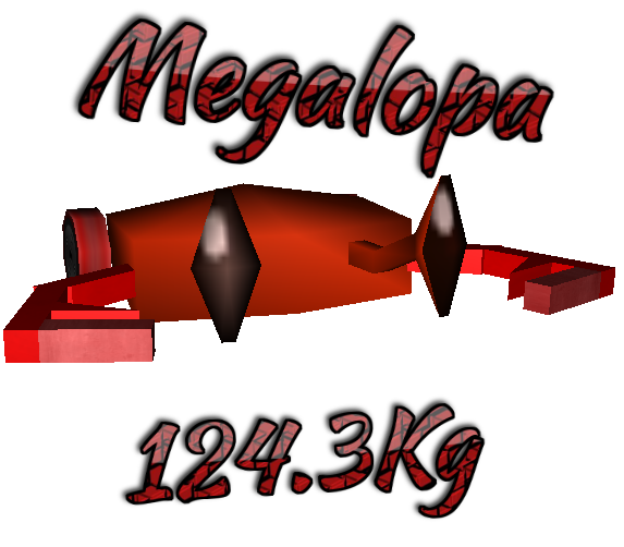 megalopa.png