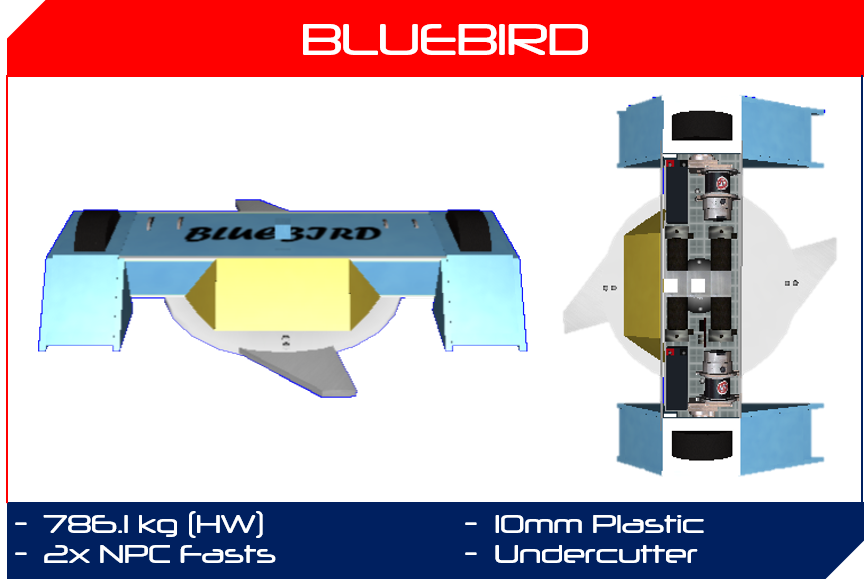 Bluebird 2019.png