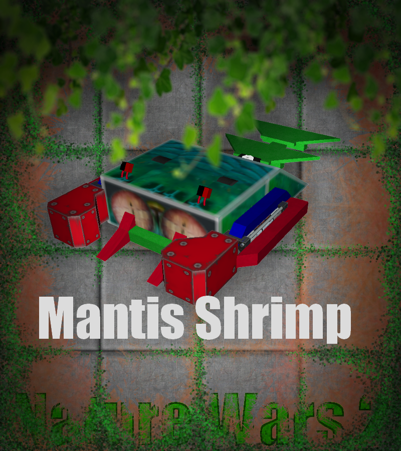 mantis shrimp.png
