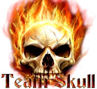 Team Skull.png