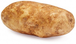 potato.png