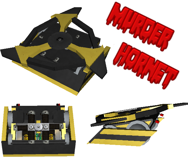 murderhornet.png