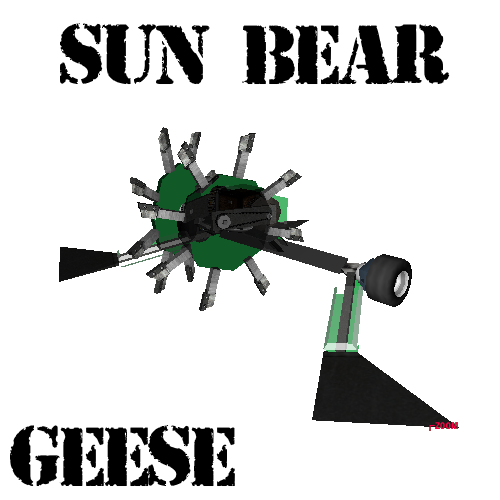 Sun Bear.png