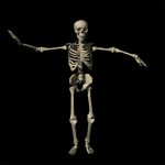 community_image_1382806384.gif